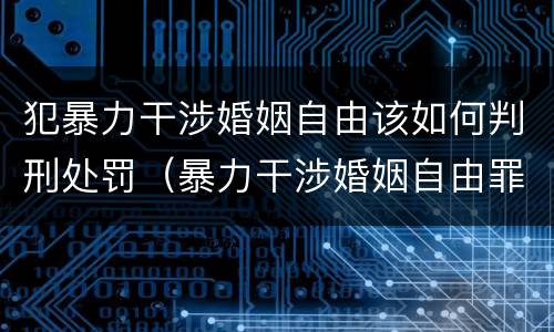 犯暴力干涉婚姻自由该如何判刑处罚（暴力干涉婚姻自由罪怎么判刑）