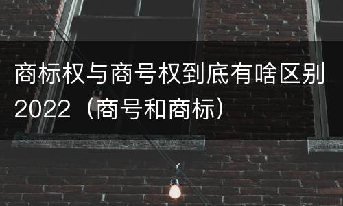 商标权与商号权到底有啥区别2022（商号和商标）
