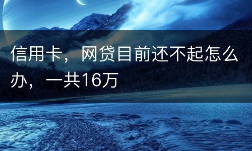 信用卡，网贷目前还不起怎么办，一共16万