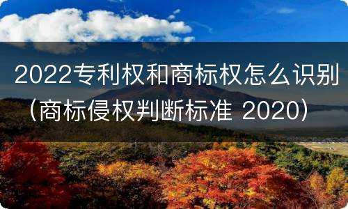 2022专利权和商标权怎么识别（商标侵权判断标准 2020）