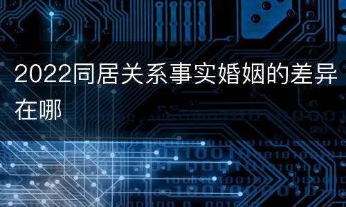 2022同居关系事实婚姻的差异在哪