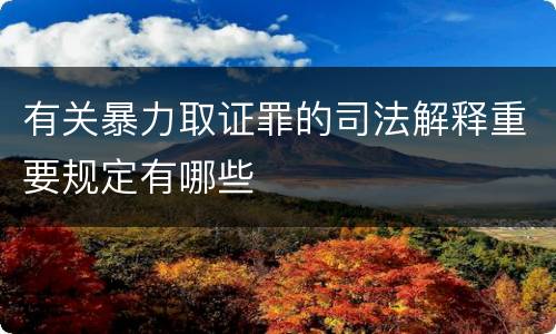 有关暴力取证罪的司法解释重要规定有哪些