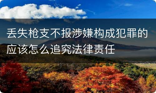 丢失枪支不报涉嫌构成犯罪的应该怎么追究法律责任