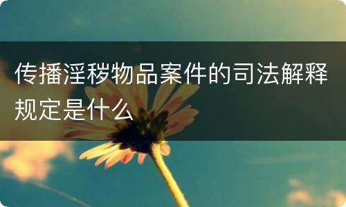 传播淫秽物品案件的司法解释规定是什么