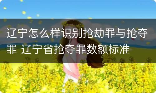 辽宁怎么样识别抢劫罪与抢夺罪 辽宁省抢夺罪数额标准