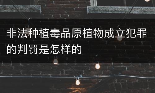 非法种植毒品原植物成立犯罪的判罚是怎样的