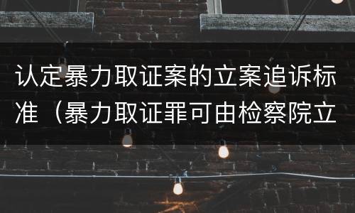认定暴力取证案的立案追诉标准(暴力取证罪可由检察院立案侦查)