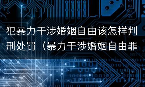 犯暴力干涉婚姻自由该怎样判刑处罚（暴力干涉婚姻自由罪怎么判刑）