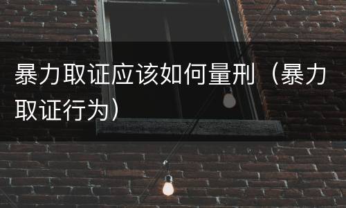 暴力取证应该如何量刑（暴力取证行为）