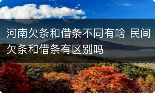 河南欠条和借条不同有啥 民间欠条和借条有区别吗