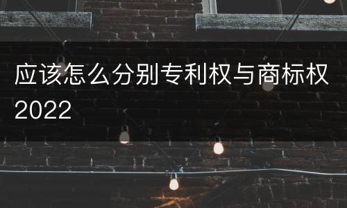 应该怎么分别专利权与商标权2022