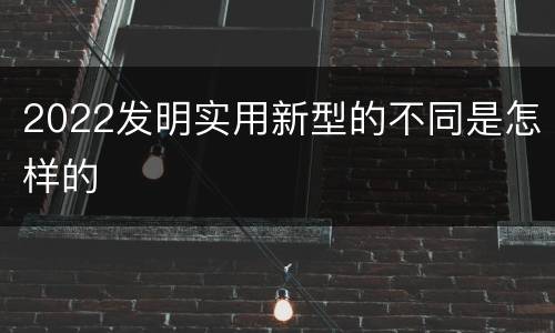 2022发明实用新型的不同是怎样的
