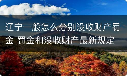 辽宁一般怎么分别没收财产罚金 罚金和没收财产最新规定