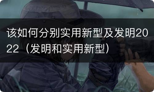 该如何分别实用新型及发明2022（发明和实用新型）