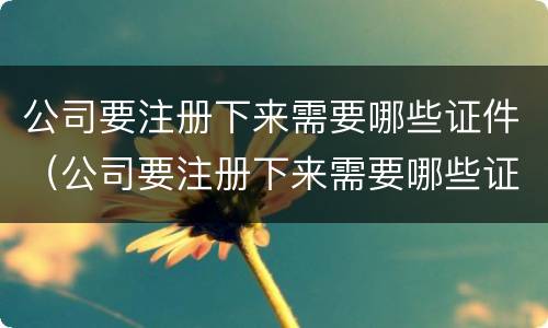 公司要注册下来需要哪些证件（公司要注册下来需要哪些证件呢）