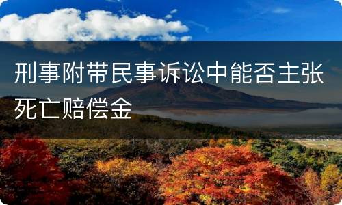 刑事附带民事诉讼中能否主张死亡赔偿金