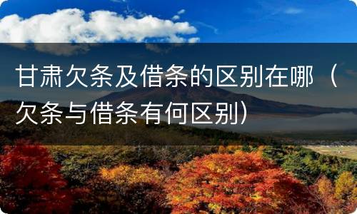 甘肃欠条及借条的区别在哪（欠条与借条有何区别）