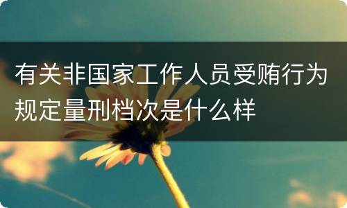 有关非国家工作人员受贿行为规定量刑档次是什么样