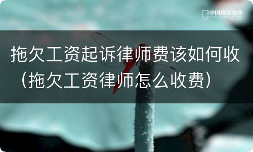 拖欠工资起诉律师费该如何收（拖欠工资律师怎么收费）