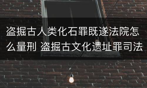 盗掘古人类化石罪既遂法院怎么量刑 盗掘古文化遗址罪司法解释