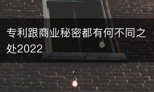 专利跟商业秘密都有何不同之处2022