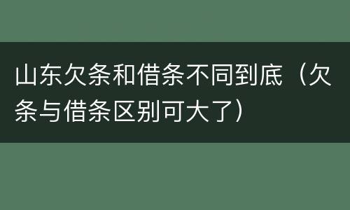 山东欠条和借条不同到底（欠条与借条区别可大了）