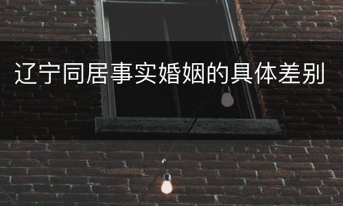 辽宁同居事实婚姻的具体差别