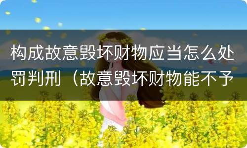 构成故意毁坏财物应当怎么处罚判刑（故意毁坏财物能不予处罚吗）