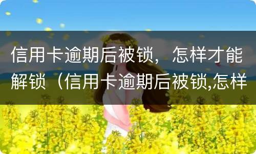 信用卡逾期后被锁，怎样才能解锁（信用卡逾期后被锁,怎样才能解锁呢）
