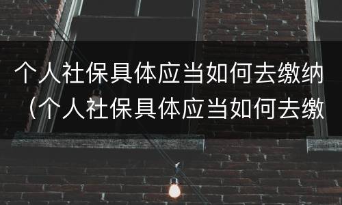个人社保具体应当如何去缴纳（个人社保具体应当如何去缴纳的）