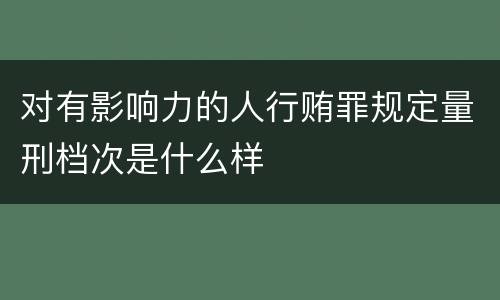 对有影响力的人行贿罪规定量刑档次是什么样