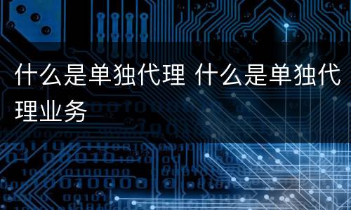 什么是单独代理 什么是单独代理业务