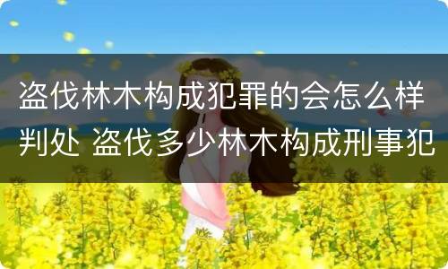 盗伐林木构成犯罪的会怎么样判处 盗伐多少林木构成刑事犯罪