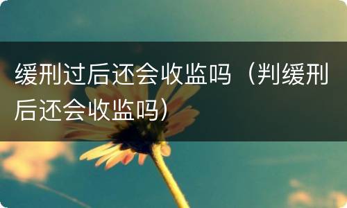 缓刑过后还会收监吗（判缓刑后还会收监吗）