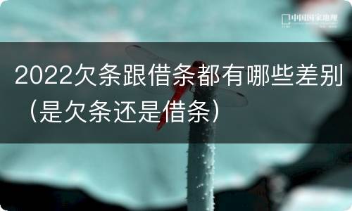 2022欠条跟借条都有哪些差别（是欠条还是借条）