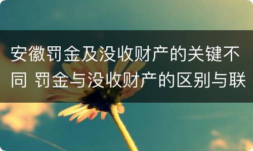 安徽罚金及没收财产的关键不同 罚金与没收财产的区别与联系
