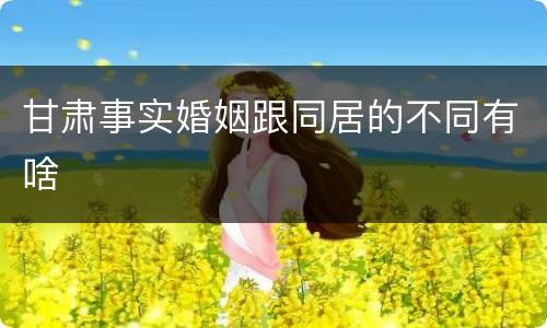 甘肃事实婚姻跟同居的不同有啥
