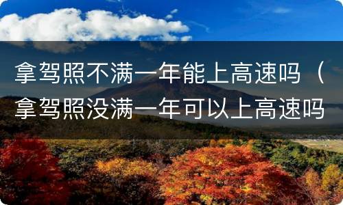 拿驾照不满一年能上高速吗（拿驾照没满一年可以上高速吗）