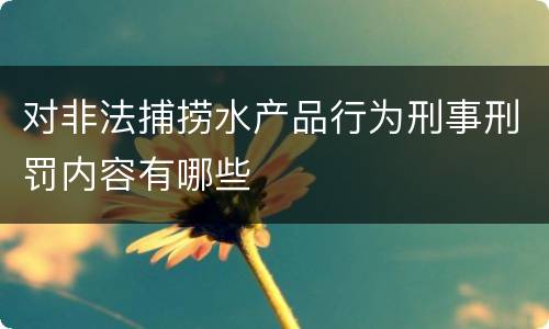 对非法捕捞水产品行为刑事刑罚内容有哪些
