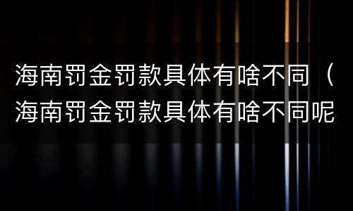 海南罚金罚款具体有啥不同（海南罚金罚款具体有啥不同呢）