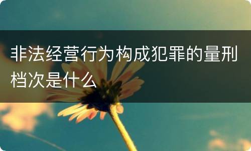 非法经营行为构成犯罪的量刑档次是什么