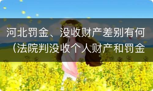 河北罚金、没收财产差别有何（法院判没收个人财产和罚金有什么区别）