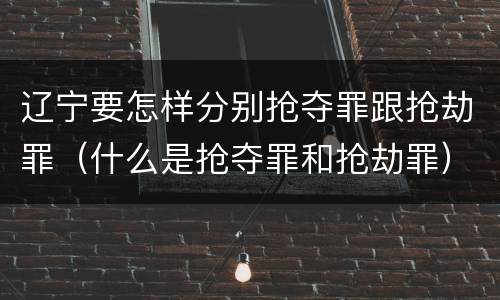 辽宁要怎样分别抢夺罪跟抢劫罪（什么是抢夺罪和抢劫罪）