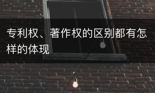 专利权、著作权的区别都有怎样的体现