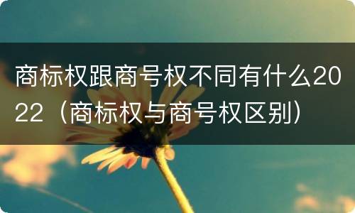 商标权跟商号权不同有什么2022（商标权与商号权区别）