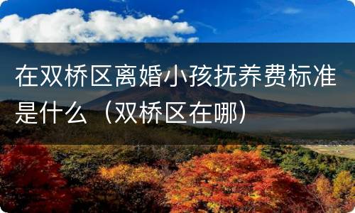 在双桥区离婚小孩抚养费标准是什么（双桥区在哪）