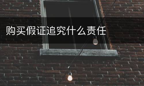 购买假证追究什么责任