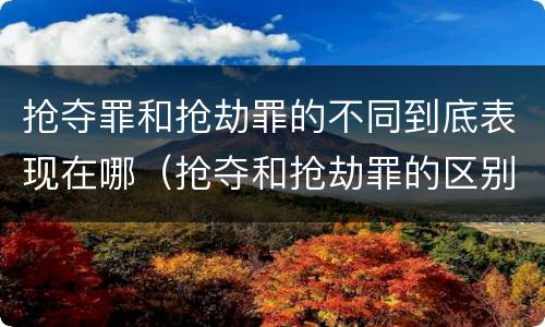 抢夺罪和抢劫罪的不同到底表现在哪（抢夺和抢劫罪的区别）