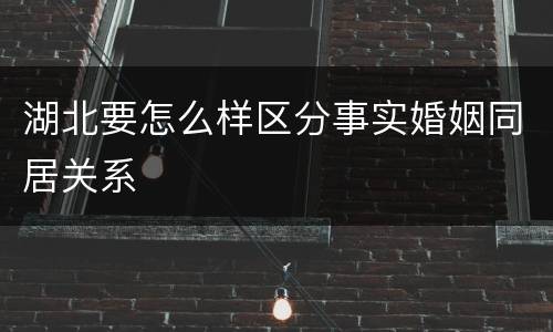 湖北要怎么样区分事实婚姻同居关系