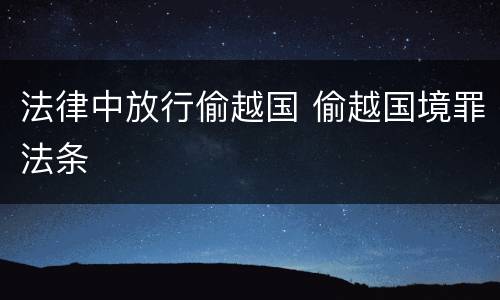 法律中放行偷越国 偷越国境罪法条